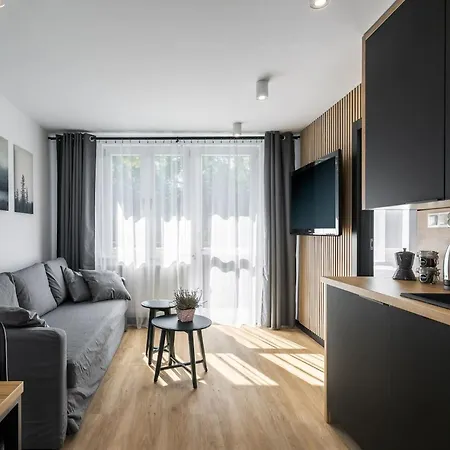 Rent like home - Piaseckiego 24 Zakopane Zewnętrze zdjęcie